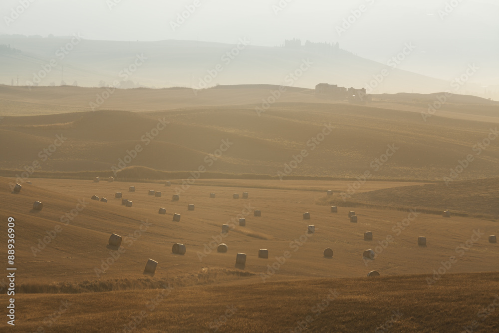 Obraz premium Tuscan fields at sunrise