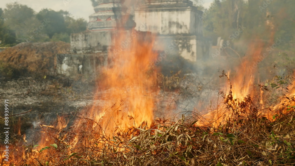 Burning off dry grass to prepare land for future use Burning off dry grass to prepare land for future use