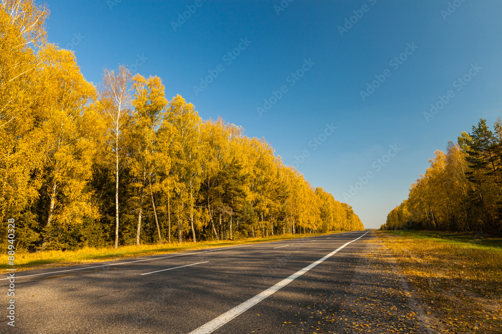 Fototapeta premium Autumn trip