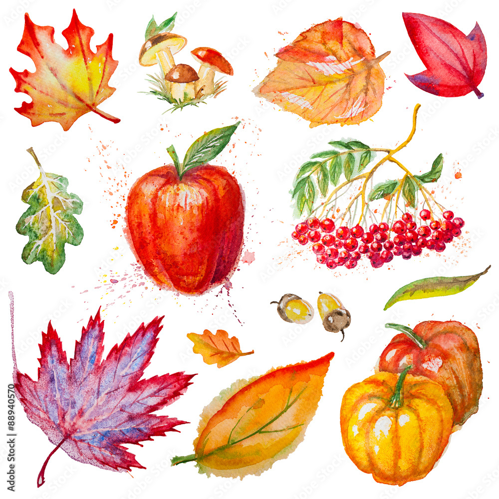 Watercolor isolated plants Watercolor isolated plants