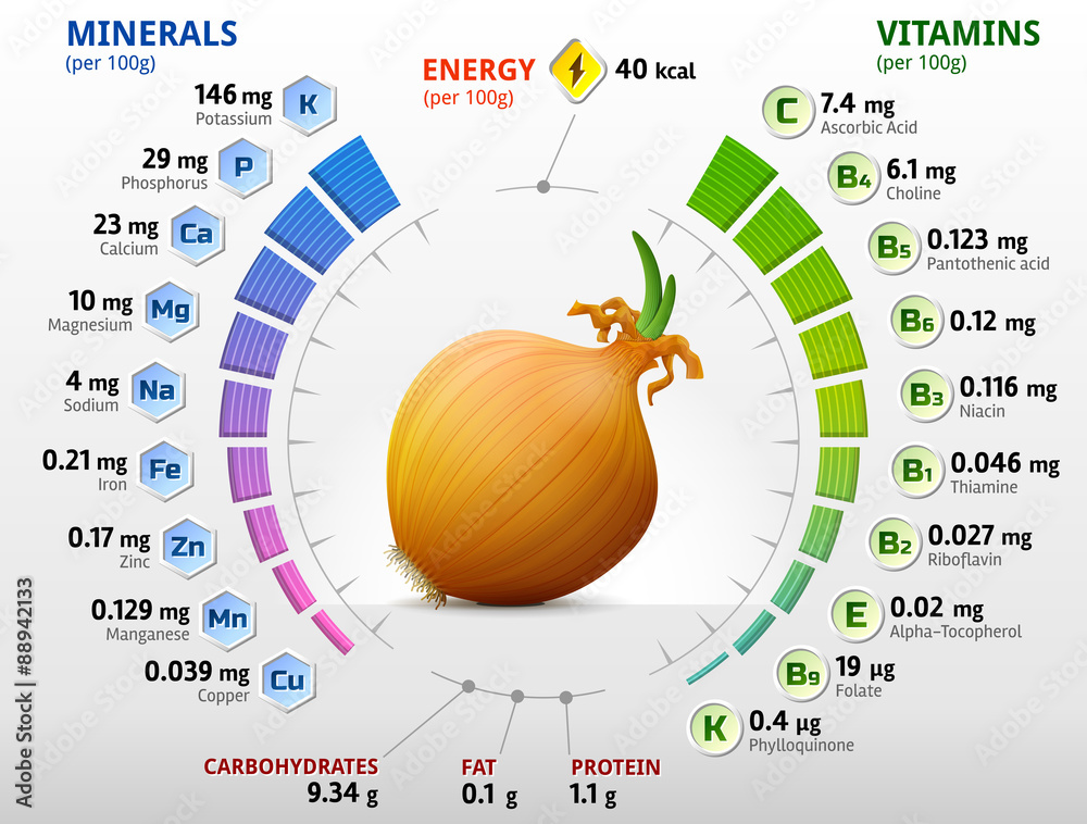 Vitamins and minerals of onion. Shallot bulb nutrition facts Stock