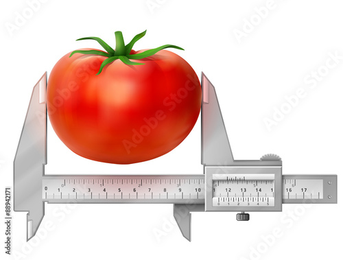 Horizontal caliper measures tomato. Concept of tomato and tool