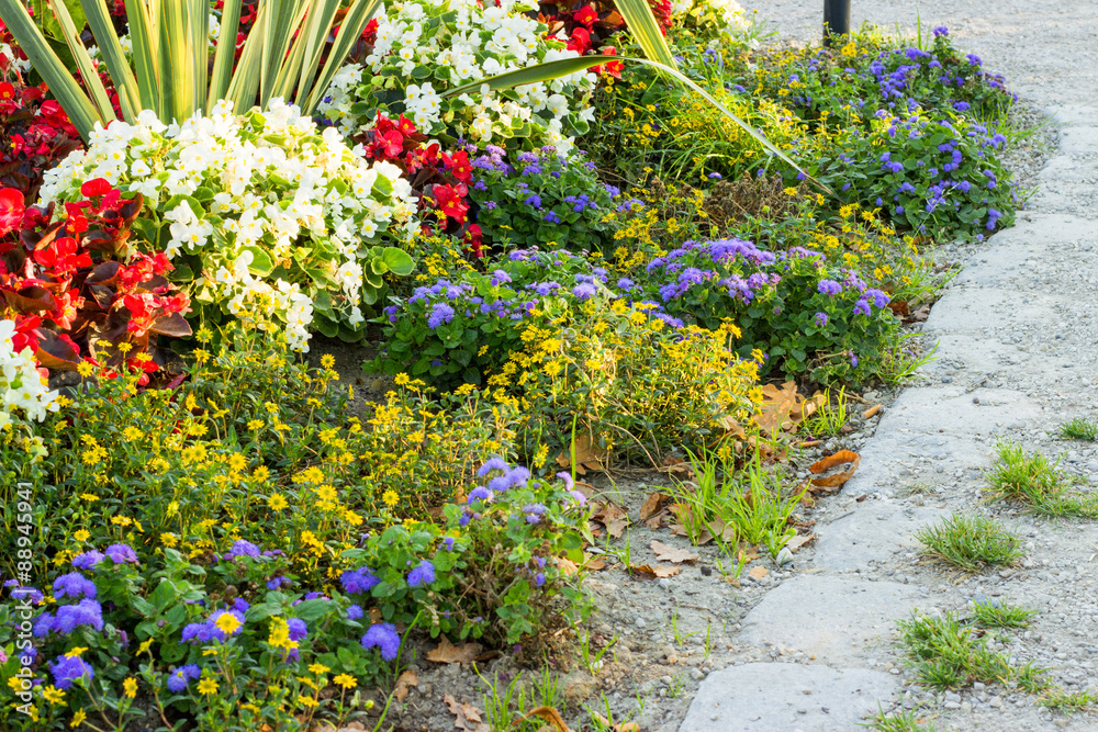 Fototapeta premium Blumenbeet im Stadtpark im Morgenlicht