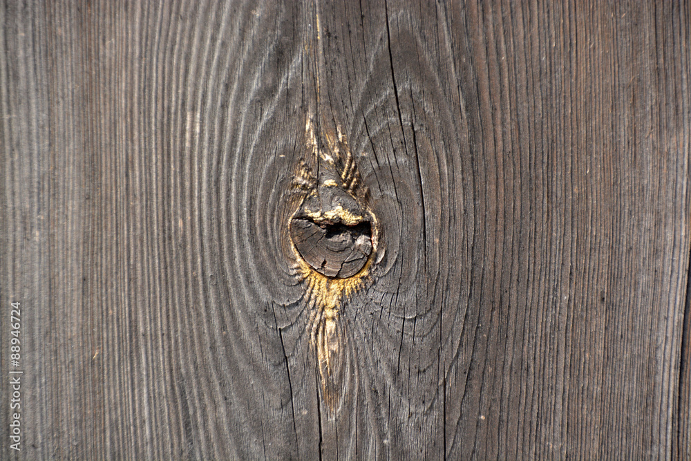 lineas de la veta de una madera Stock Photo | Adobe Stock