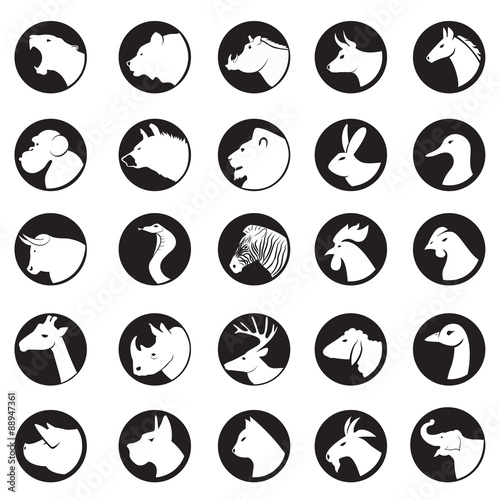 animal collection