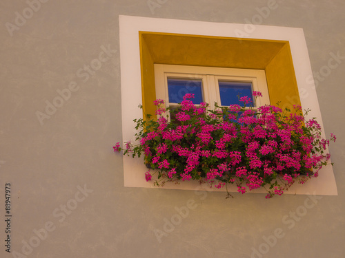 Finestra gialla con fiori colorati di viola
