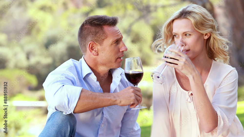Happy couple toasting and drinking red wine Happy couple toasting and drinking red wine