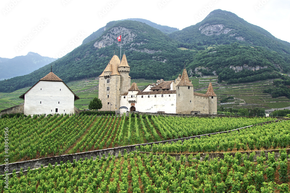 Aigle Castle. Switzerland