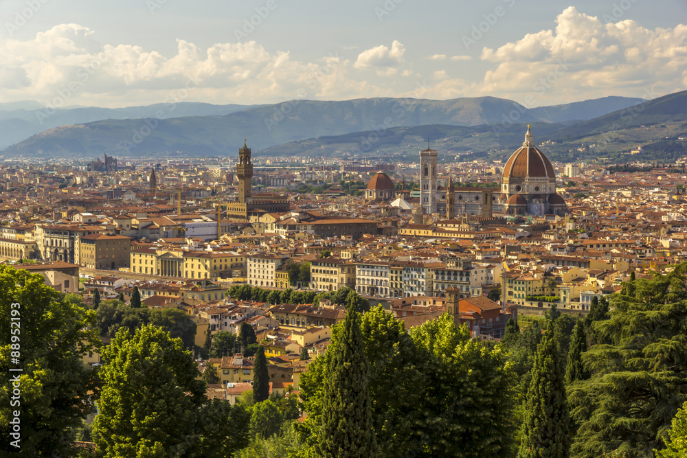 Panoramic view to historical centre of Florence