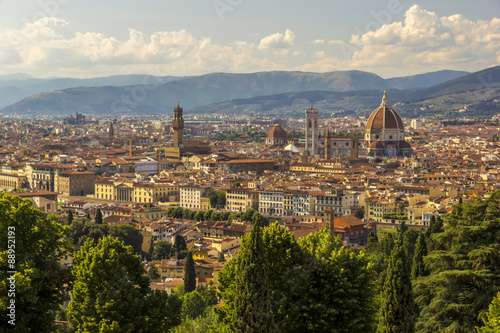 Panoramic view to historical centre of Florence
