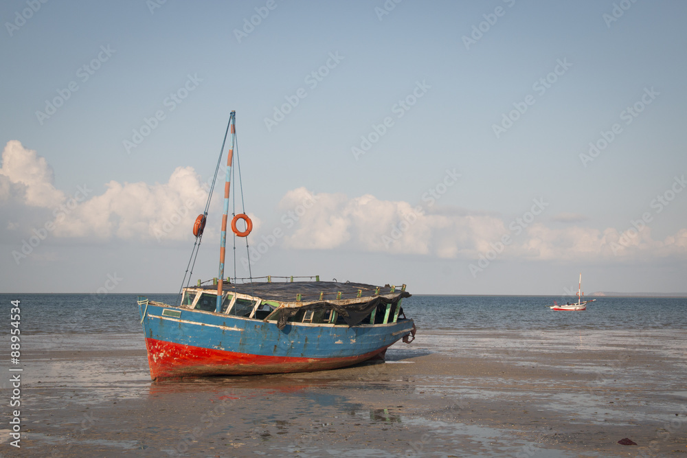 Typical boats called dhows at the coast of Vilanculos in Mozambique
Typical boats called dhows at the coast of Vilanculos in Mozambique