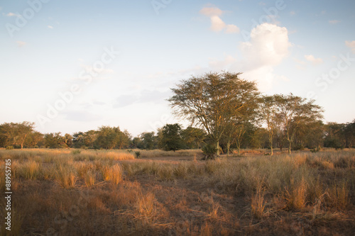 Obraz na płótnie View over the savanna in the National Park Gorongosa in the center of Mozambique
w salonie