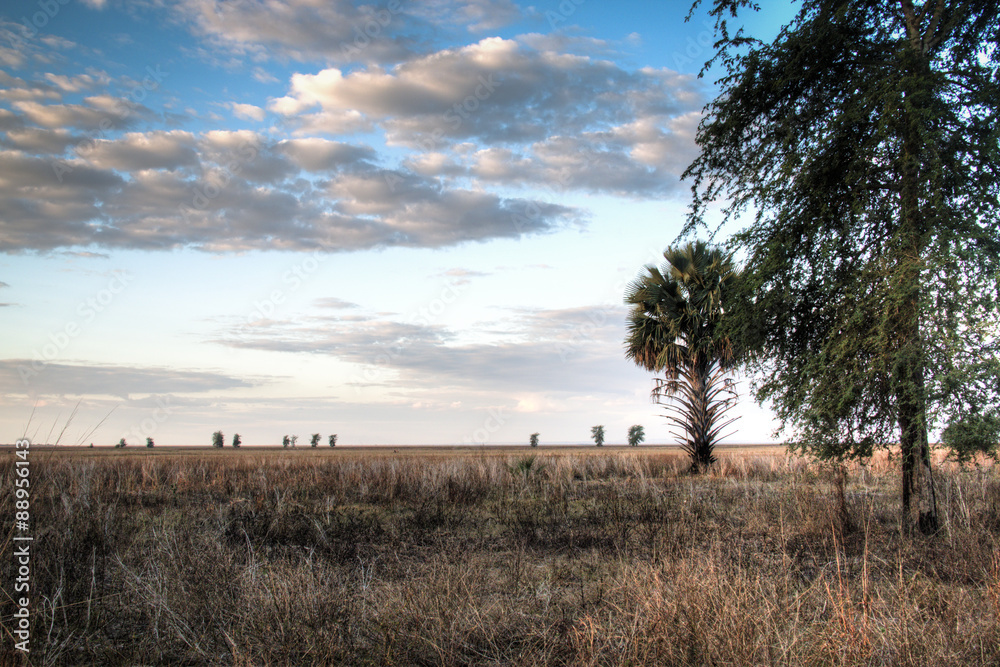 View over the savanna in the National Park Gorongosa in the center of Mozambique