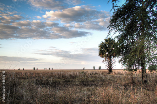 Obraz na płótnie View over the savanna in the National Park Gorongosa in the center of Mozambique
w salonie