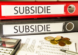Subsidie (overheid, steun)