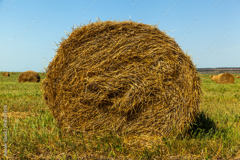 haystack, hay, background, rural, field, farm, summer, wheat, agriculture haystack, hay, background, rural, field, farm, summer, wheat, agriculture
