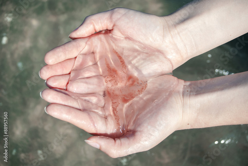  jellyfish in women's hands