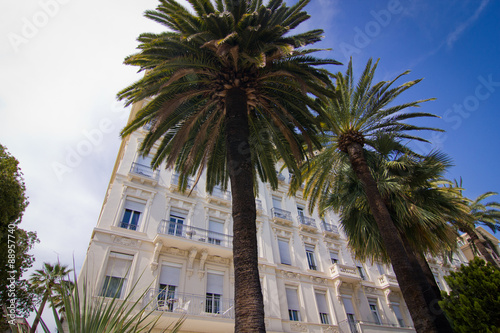 Beautiful palm trees and old building in Nice in France © urbanovich