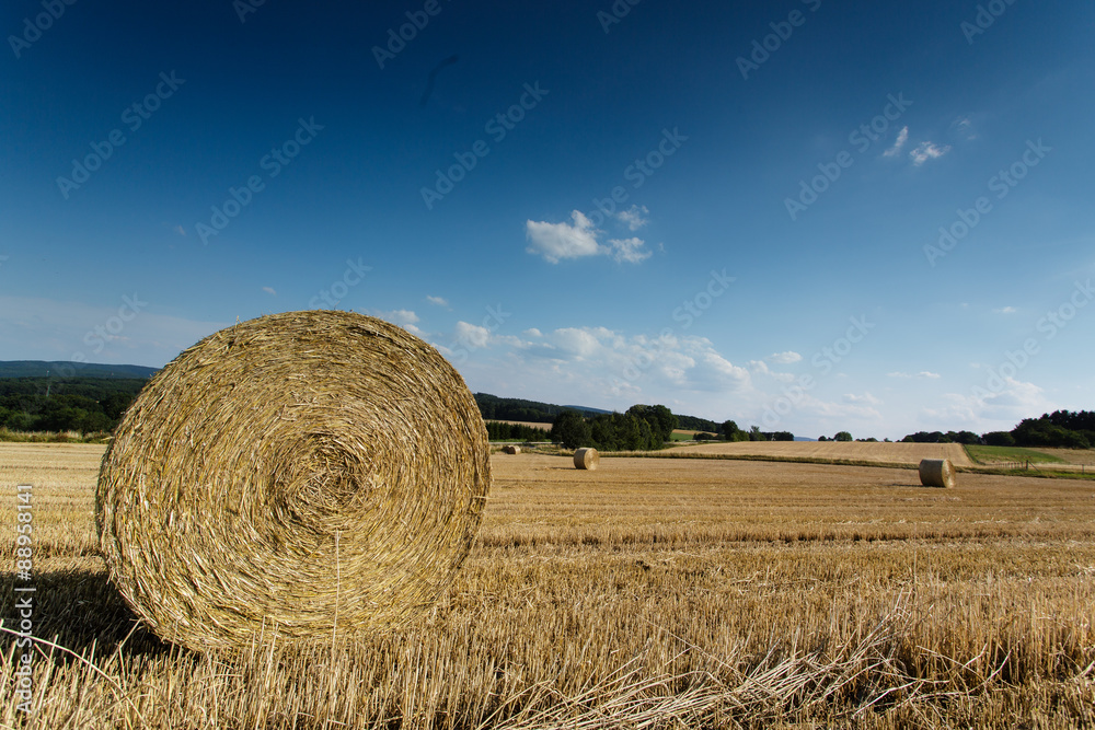 Strohballen auf getreidefeld mit blauem Himmel Strohballen auf getreidefeld mit blauem Himmel