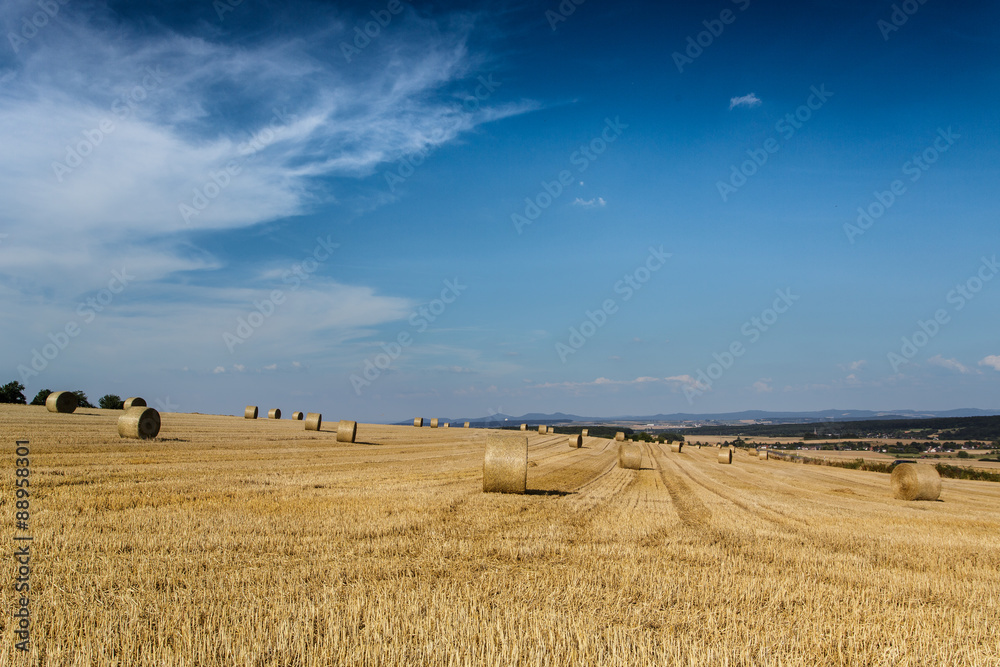 Getreidefeld abgeernted mit Strohballen und blauem Himmel