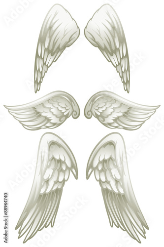 Angel wings on white
