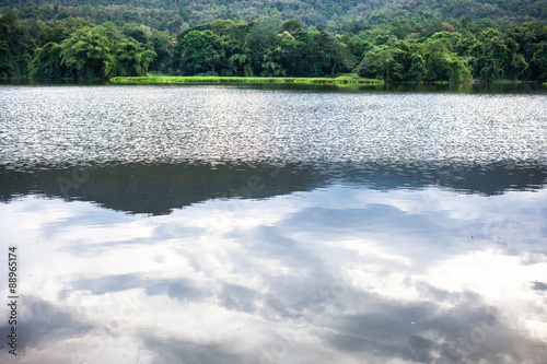 Spring forest is reflected in the river photo