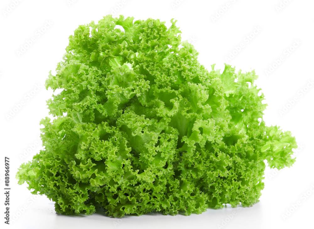Obraz premium Fresh lettuce isolated on white