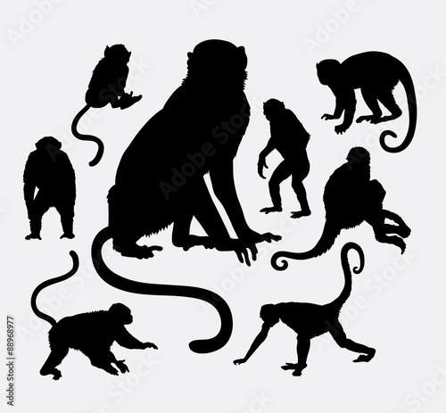 Monkey and ape animal silhouettes