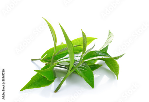 Fototapeta Naklejka Na Ścianę i Meble -  Fresh green tea leaf on white background