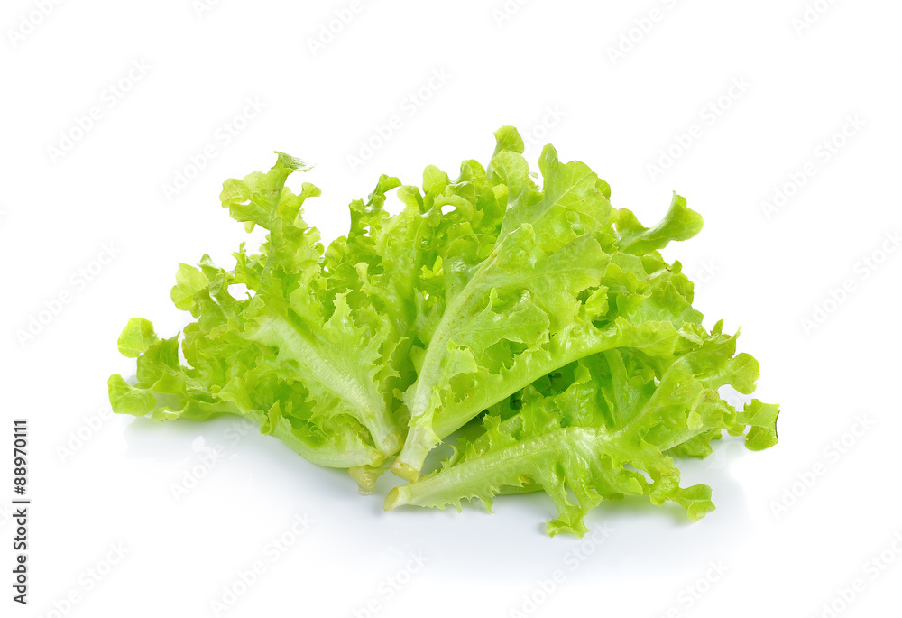 Fresh lettuce isolated on white background Fresh lettuce isolated on white background