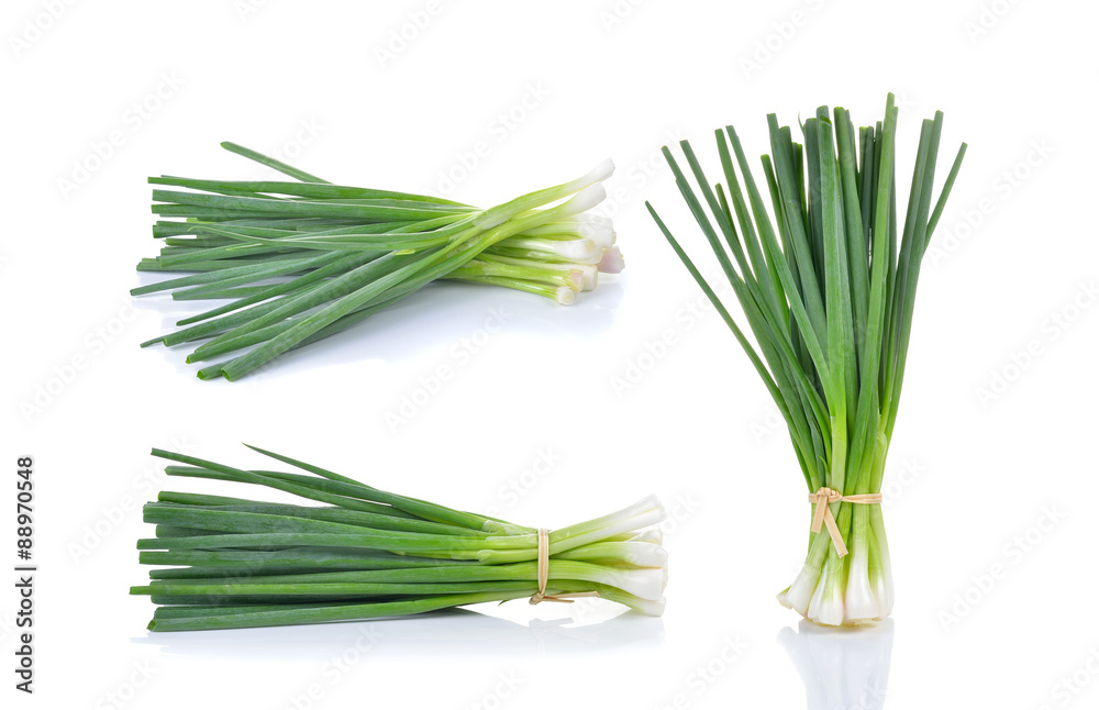 Green Onion on white background Green Onion on white background