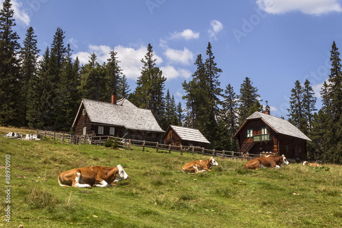 Auf der Alm