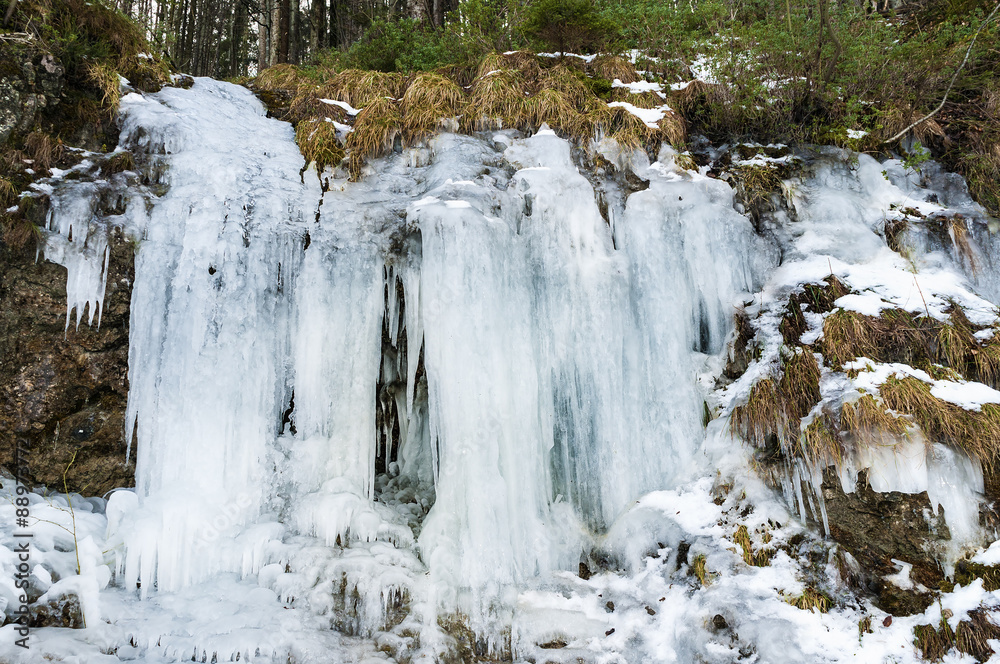 Fototapeta premium Frozen waterfall