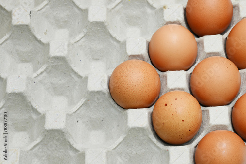 Photos eggs for cook and berkery