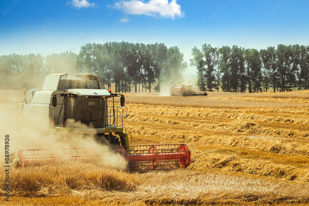 Fototapeta premium combine harvester
