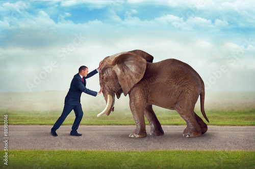 Photography business challenge elephant obstacle
