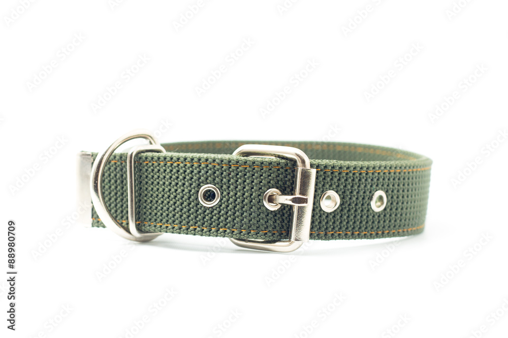 dog collar isolated on white background dog collar isolated on white background