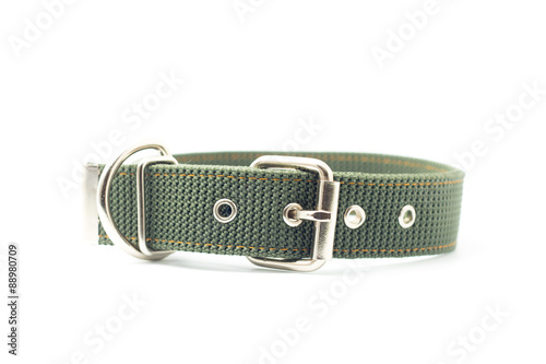 dog collar isolated on white background
