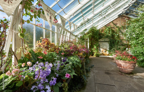 Wellington House Gardens. photo