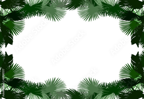 frame from green palm tree leaves