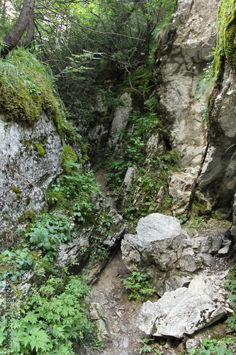 limestone gorge pass