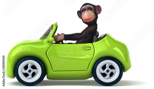 Photography Fun monkey