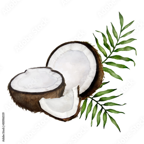 coconut composition