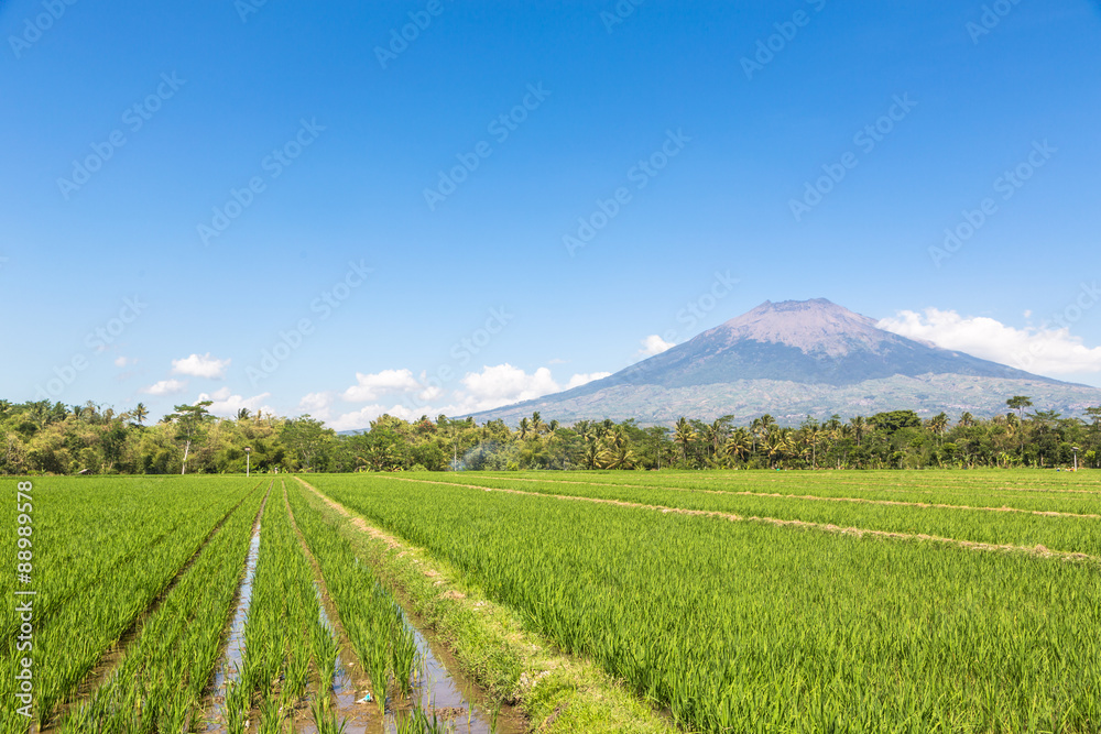 Fototapeta premium Simbung volcano in Java in Indonesia