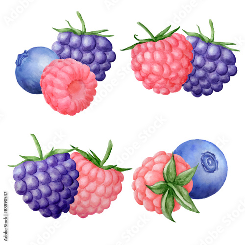 watercolor berries compoisitions