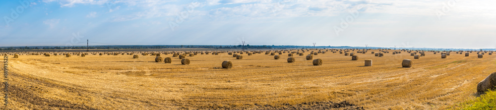 Fototapeta premium Bales of straw on a yellow field