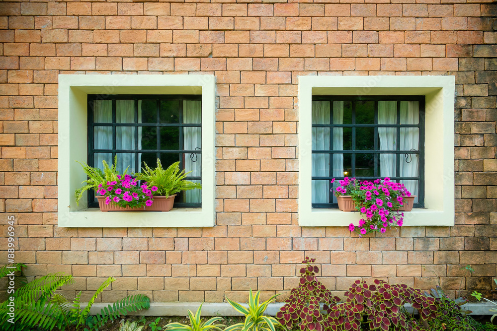 Exterior and windows of a Beautiful Old House