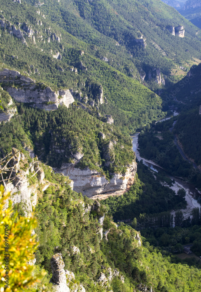 Gorges du Tarn