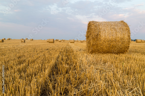 Bales of straw on a yellow field