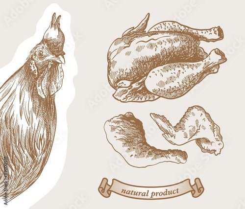 poultry breeding